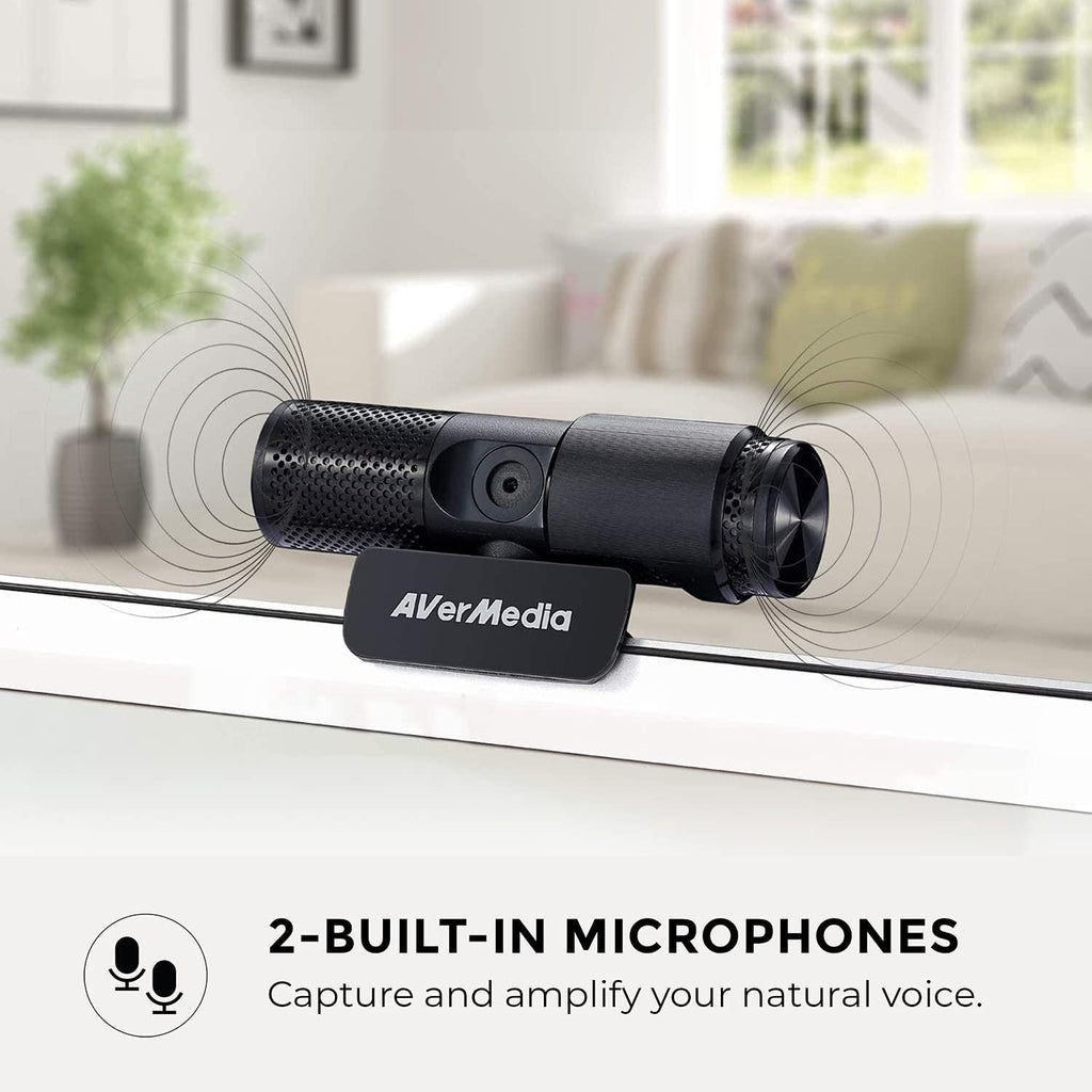 AVerMedia Live Streamer Webcam 313