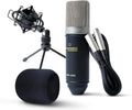 Marantz Professional MPM-1000 XLR Condenser Microphone